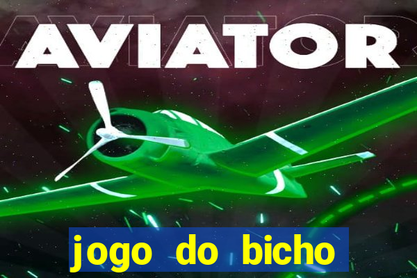 jogo do bicho documentario globoplay